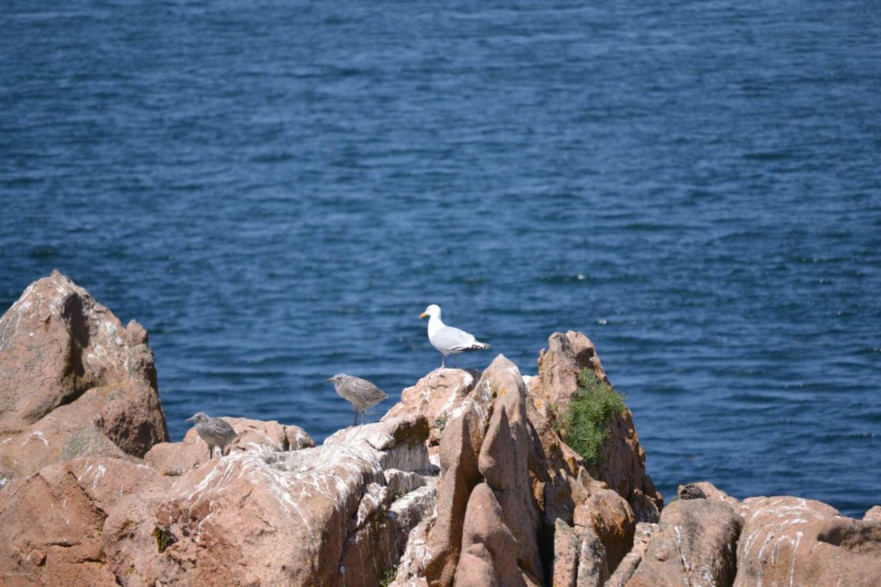 Gite Du Port Sur La Presqu'Ile De Lézardrieux Dış mekan fotoğraf